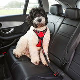 KONG Travel Seatbelt Tether