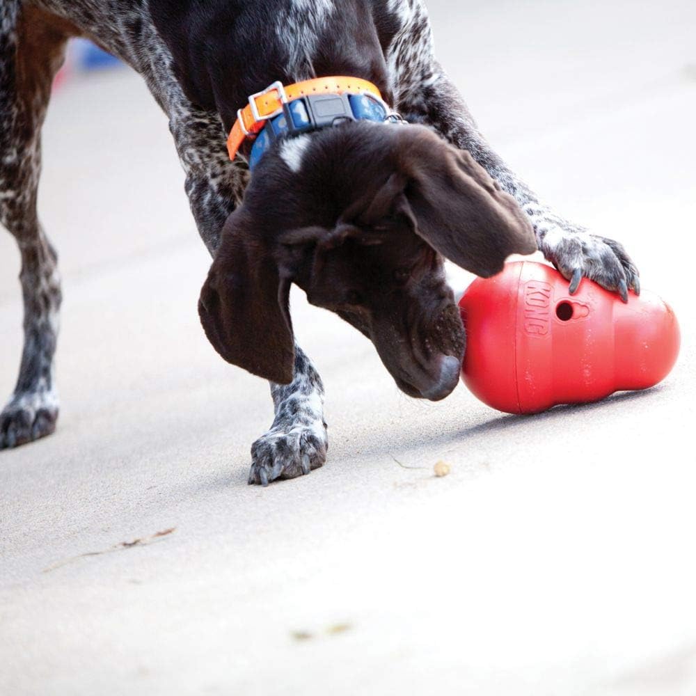 KONG Wobbler Treat Dispenser Dog Toy