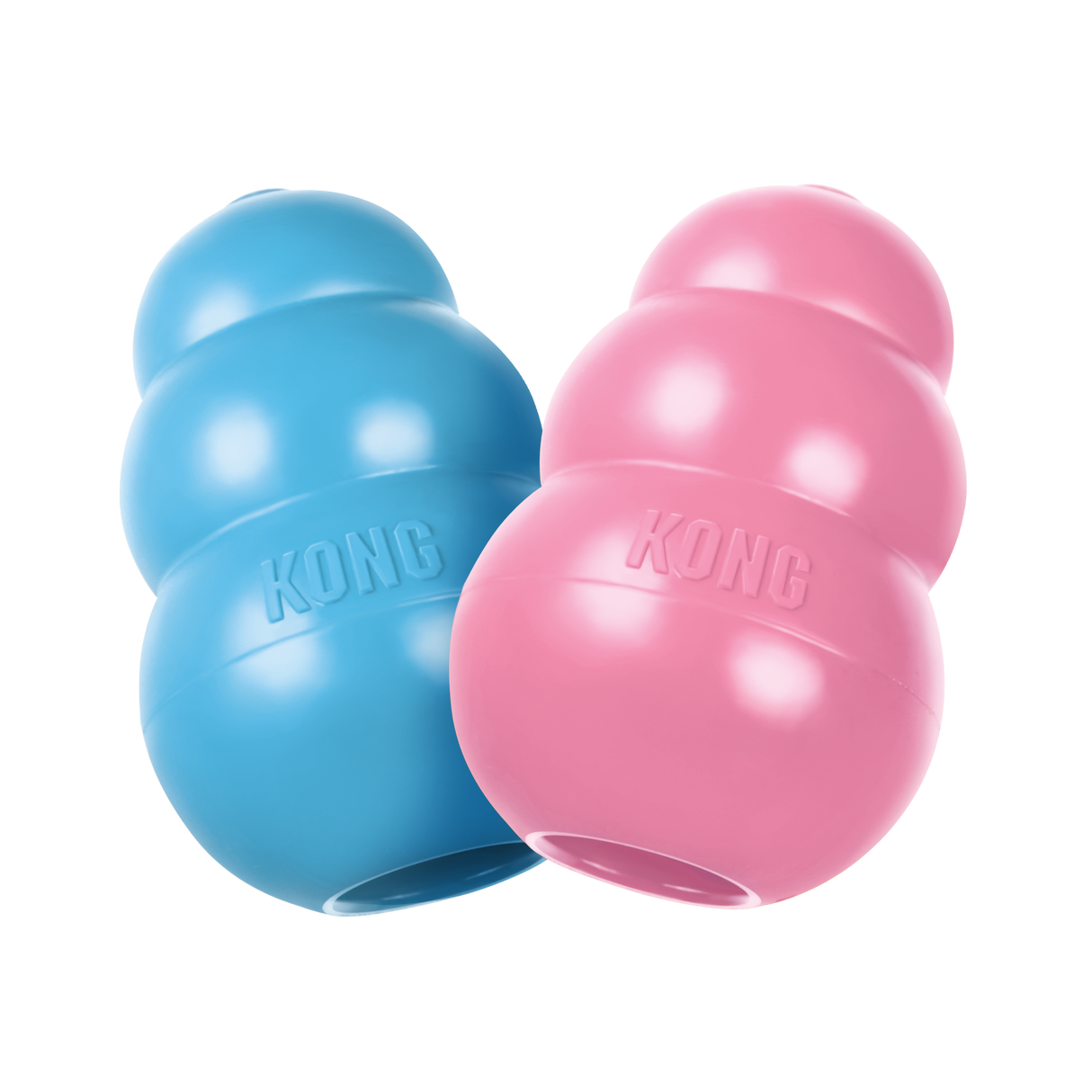 KONG Puppy Assorted Colours