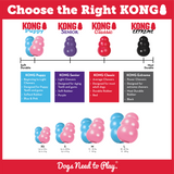 KONG Puppy Assorted Colours