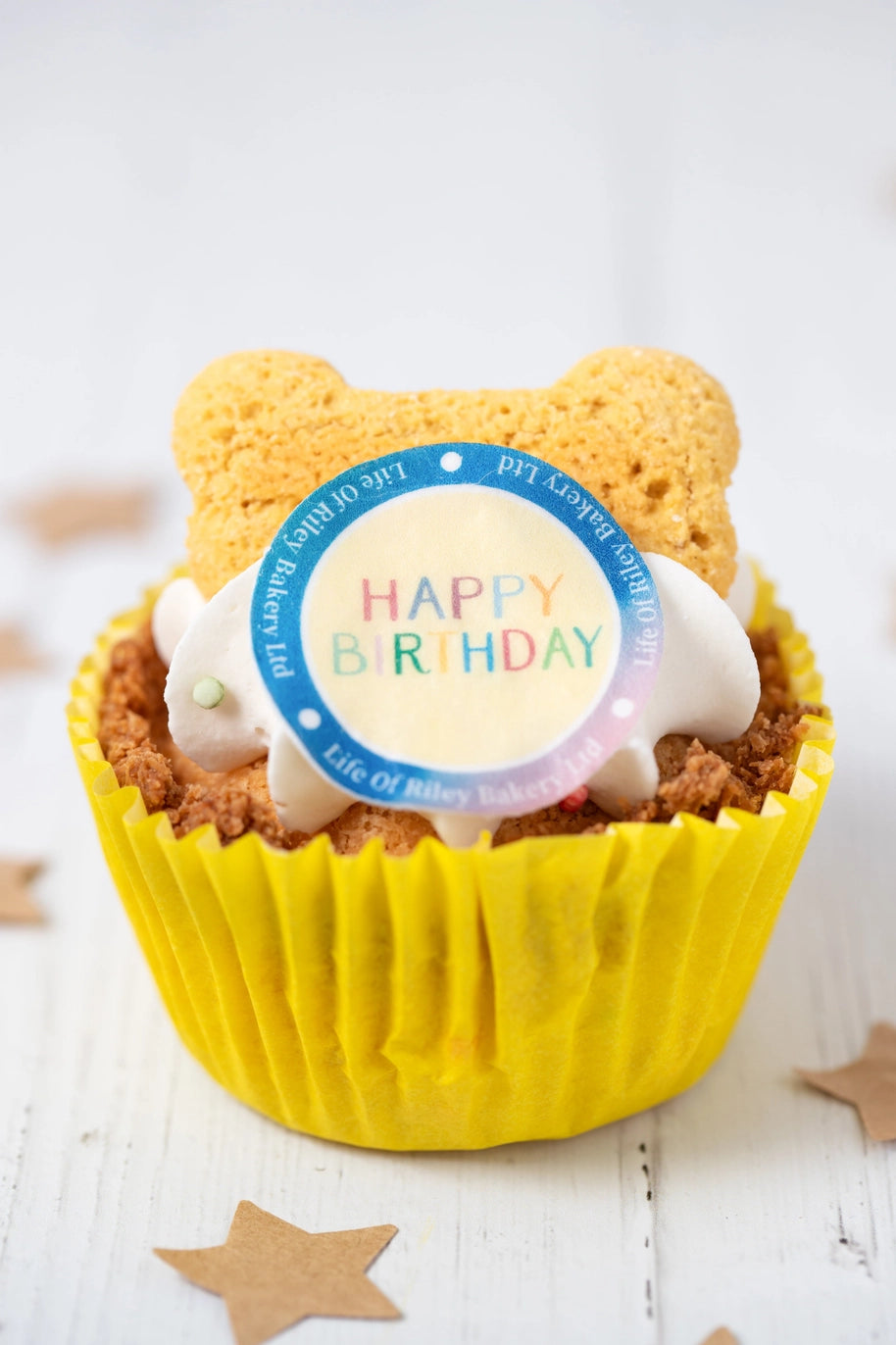 Life Of Riley Dog Birthday Cupcake