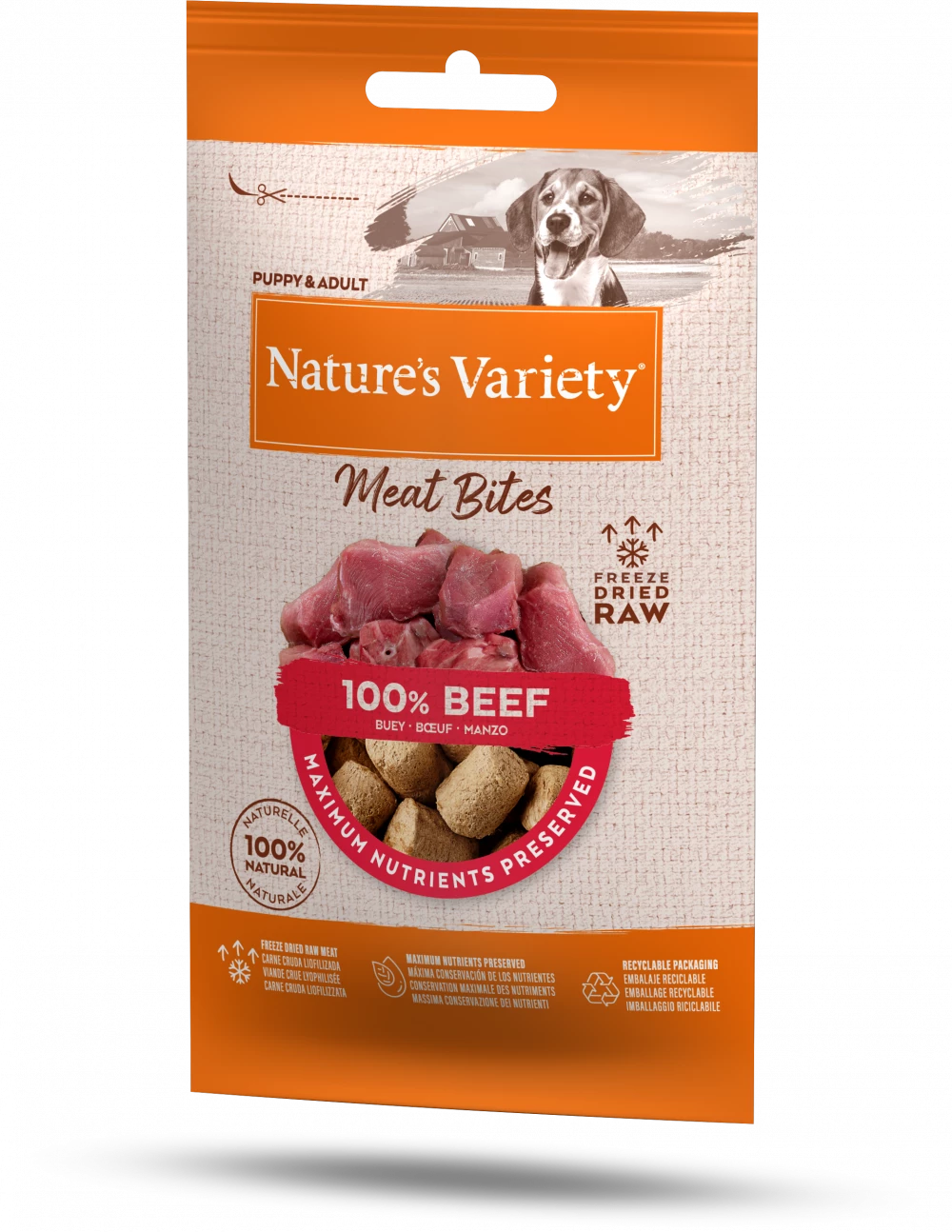 Natures Variety Freeze Dried Meat Bites Beef 20g