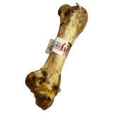 Nova Ostrich Dino Bone Dog Chew