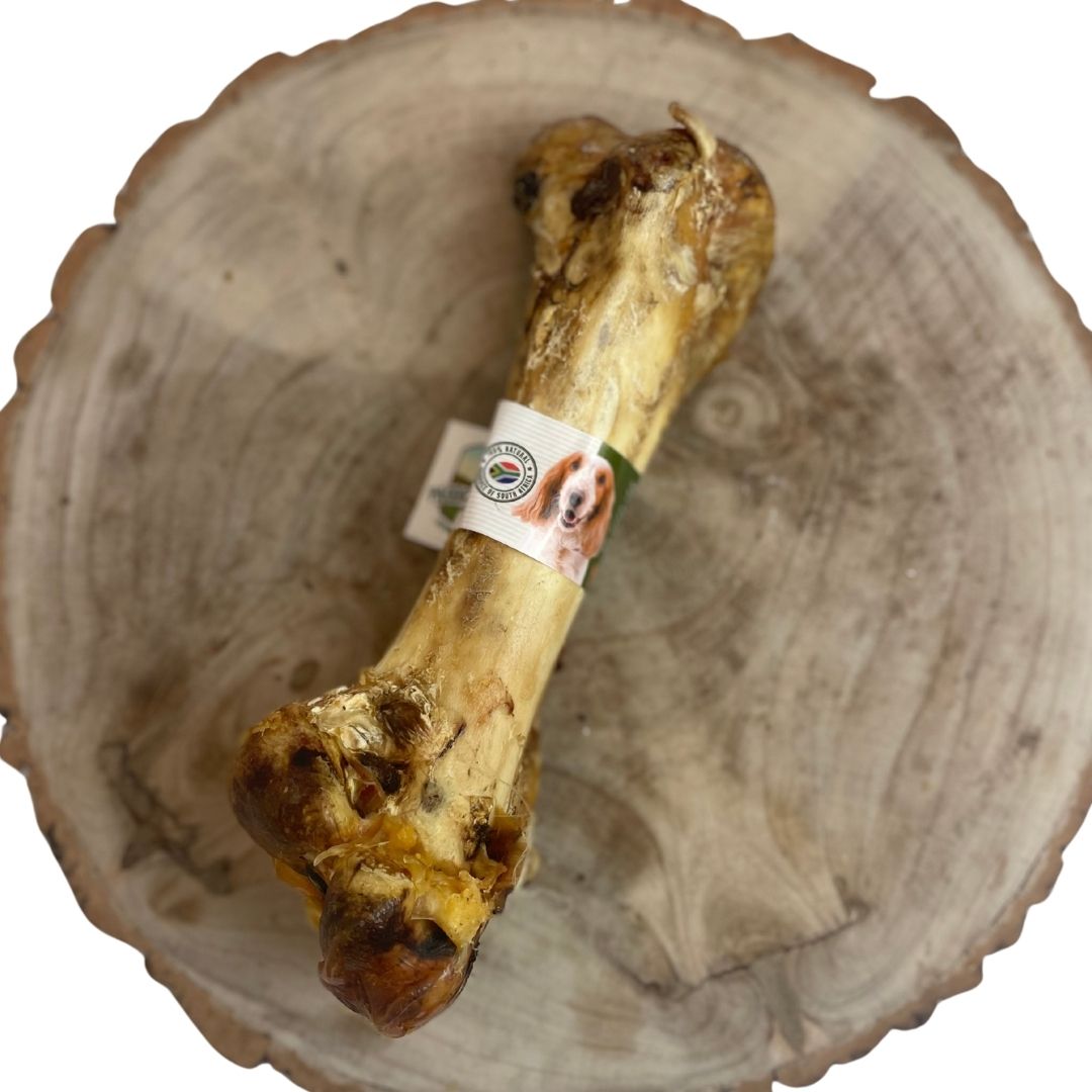 Nova Ostrich Dino Bone Dog Chew