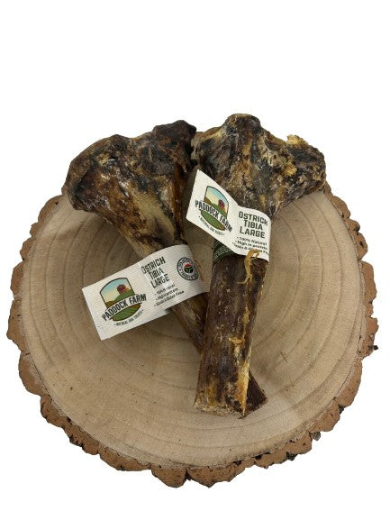 Ostrich Large Tibia Bone Dog Chew