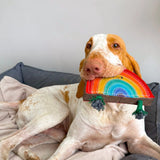Green&Wilds Rainbow Warrior, Eco Dog Toy