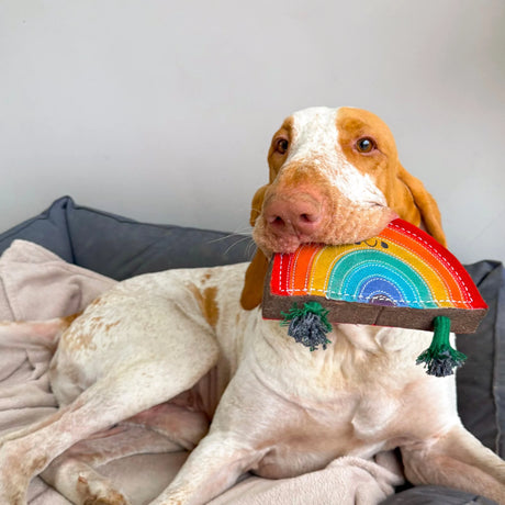 Green&Wilds Rainbow Warrior, Eco Dog Toy