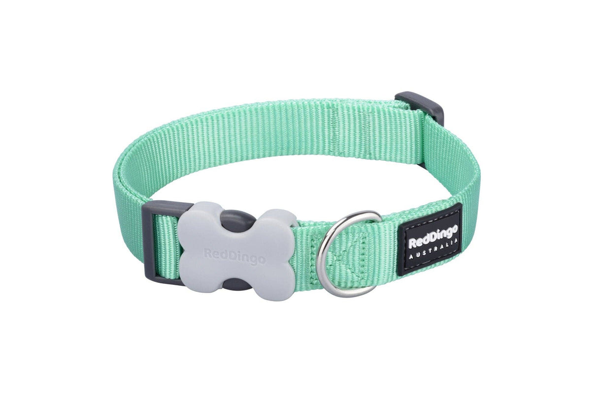 Green dog collar with a gray bone-shaped tag on a white background