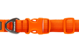 Front Range Collar Blaze Orange