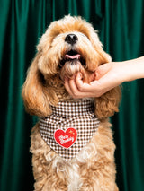 Scout's Honour Best Buddy iron-on patch for dogs