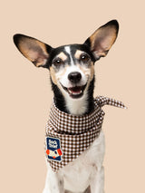 Scout's Honour Sock Thief iron-on patch for dogs