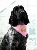 Scout's Honour Will Sit For Snacks iron-on patch for dogs