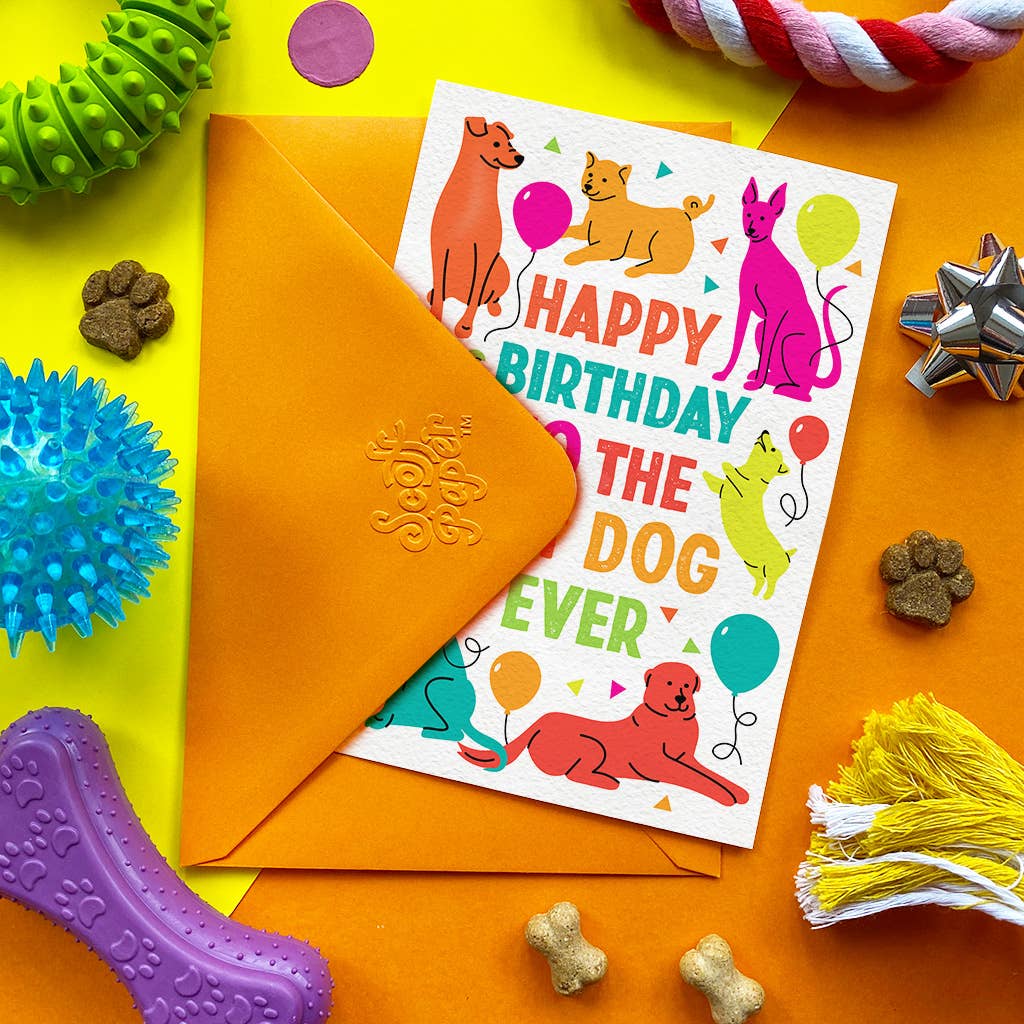 A colorful birthday card for a dog with the text 'HAPPY BIRTHDAY TO THE DOG EVER' and cartoon dogs, balloons, and treats, styled on a bright orange surface with an orange envelope and dog toys around it.
