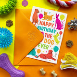 A colorful birthday card for a dog with the text 'HAPPY BIRTHDAY TO THE DOG EVER' and cartoon dogs, balloons, and treats, styled on a bright orange surface with an orange envelope and dog toys around it.