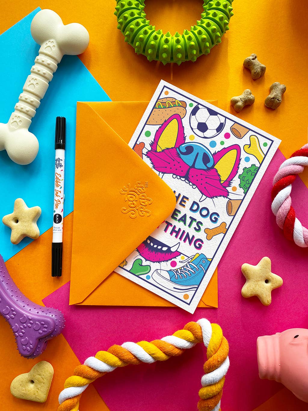 Colorful dog toys and a coloring book on a multicolored background