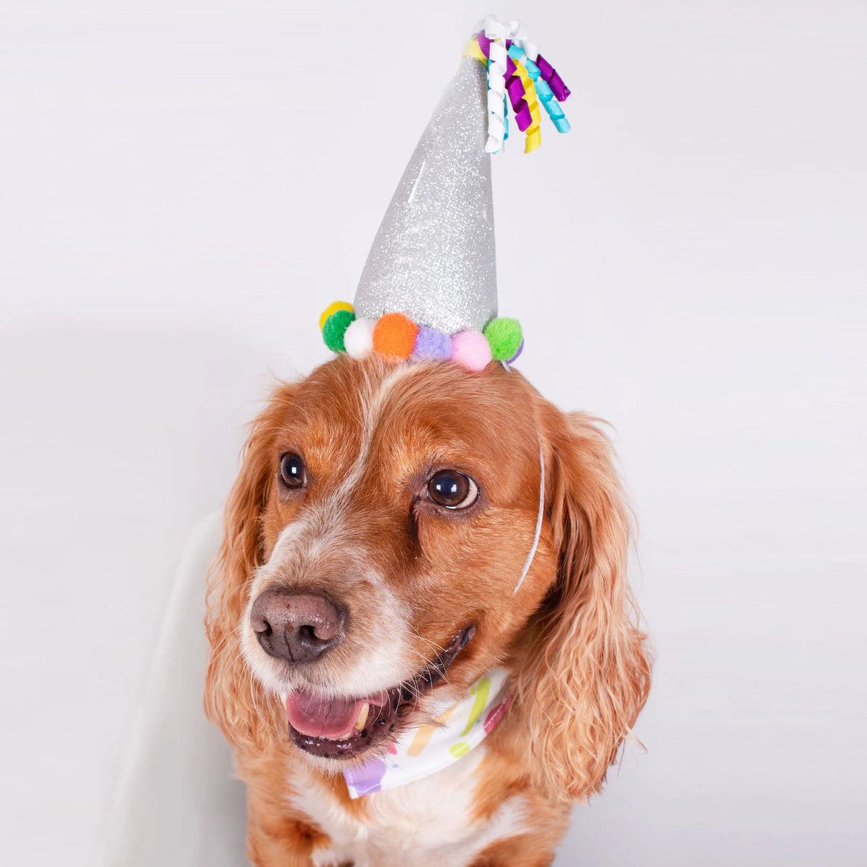 Smart Choice Birthday Hat and Bandana