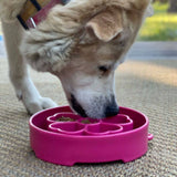 Sodapup Flower Design eBowl Enrichment Slow Feeder Bowl for Dogs