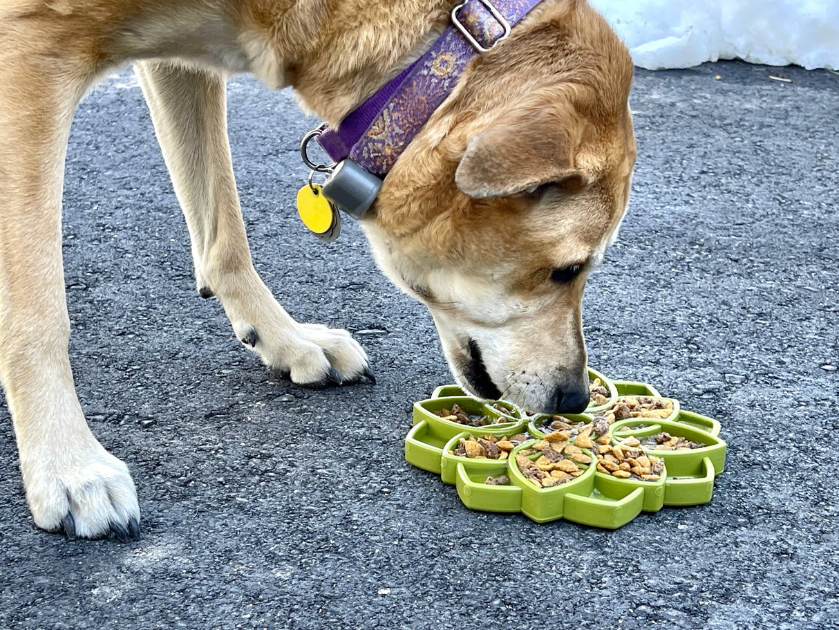 Sodapup Mandala Design eTray Enrichment Tray for Dogs Lickimat/Slow Feeder