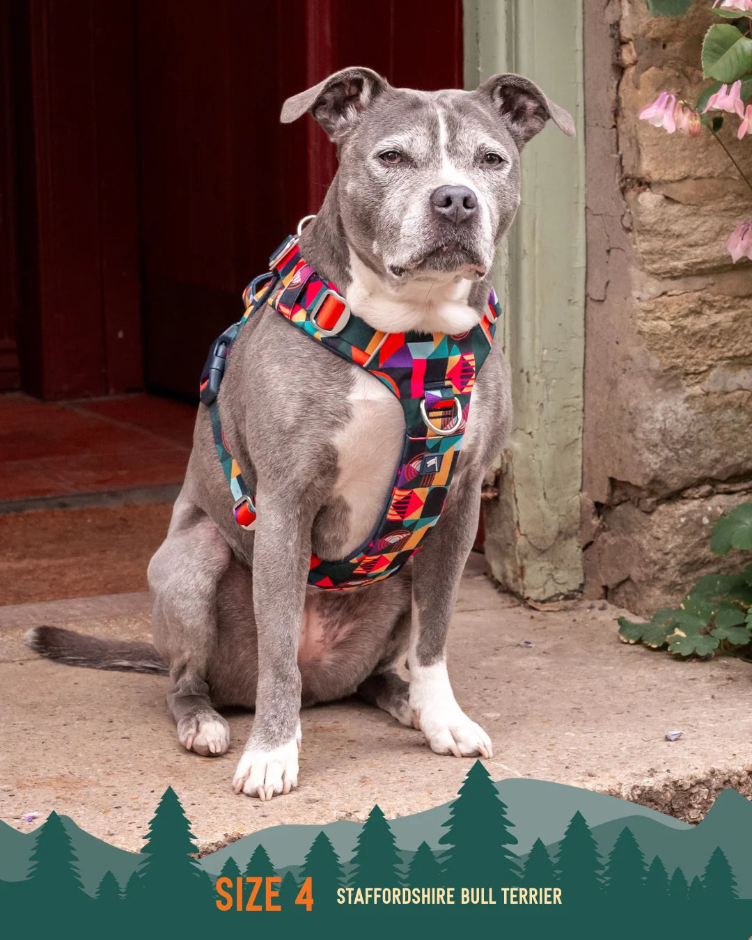 Twiggy Tags Adventure Dog Harness 2.0