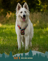 Twiggy Tags Adventure Dog Harness 2.0