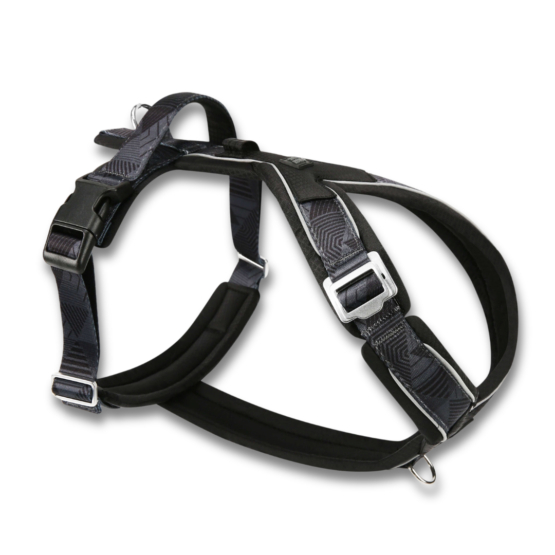 Black dog harness on a white background