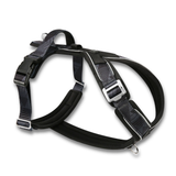 Black dog harness on a white background