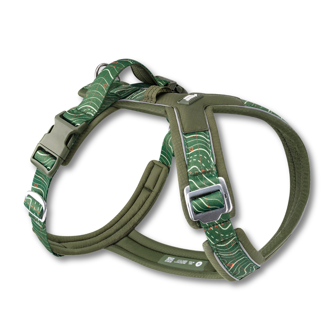 Green and brown patterned dog harness on a white background