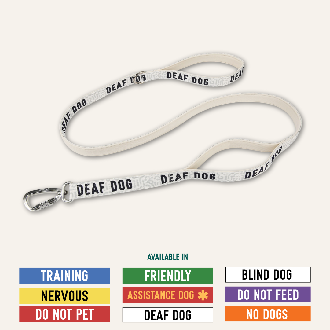 Twiggy Tags Awareness Close Control Dog Lead - Nervous