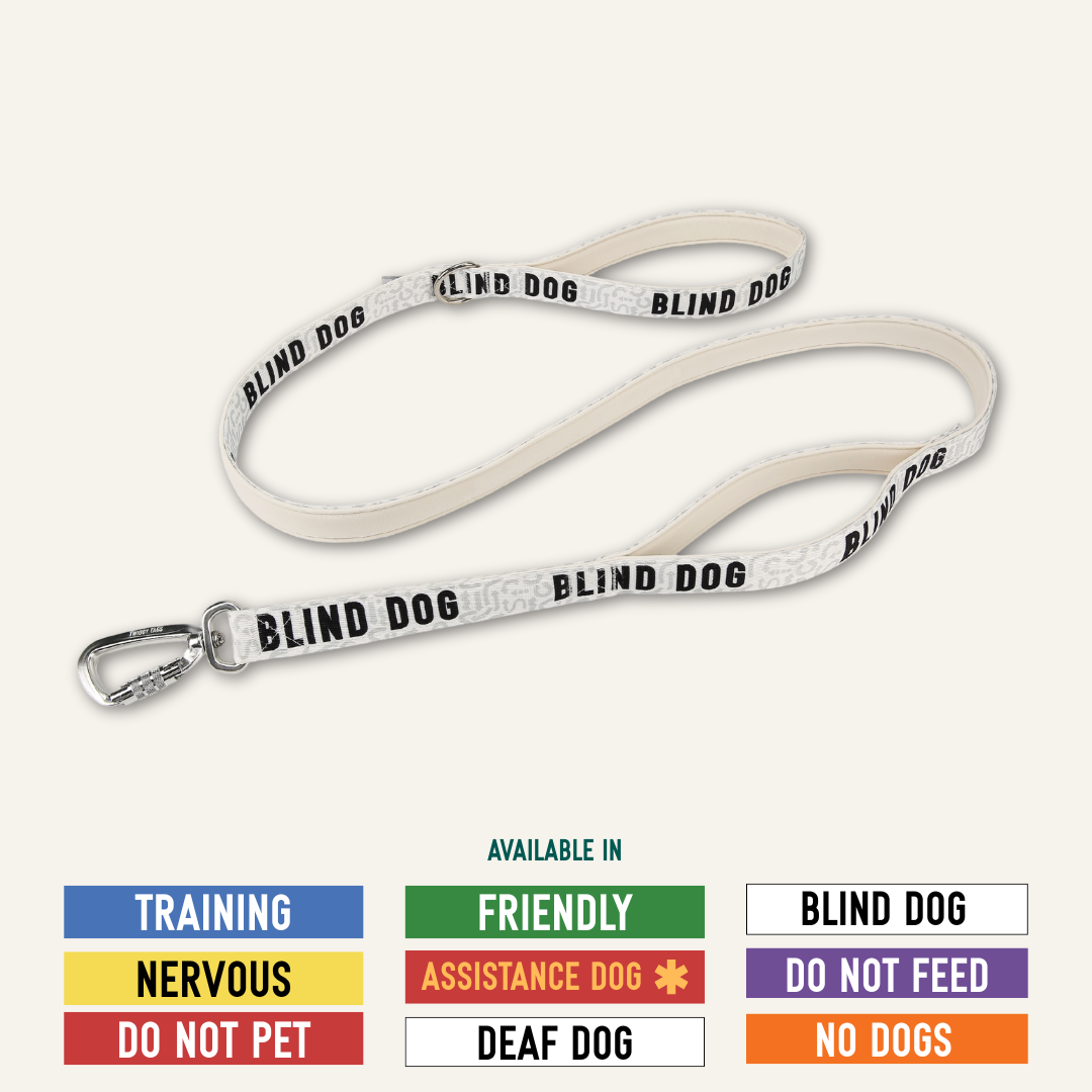 Twiggy Tags Awareness Close Control Dog Lead - Nervous