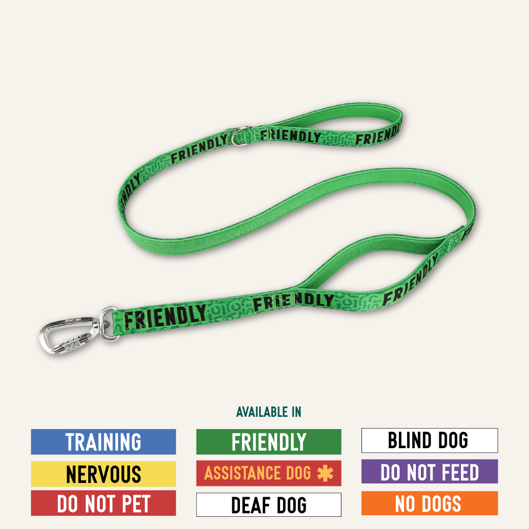 Twiggy Tags Awareness Close Control Dog Lead - Nervous