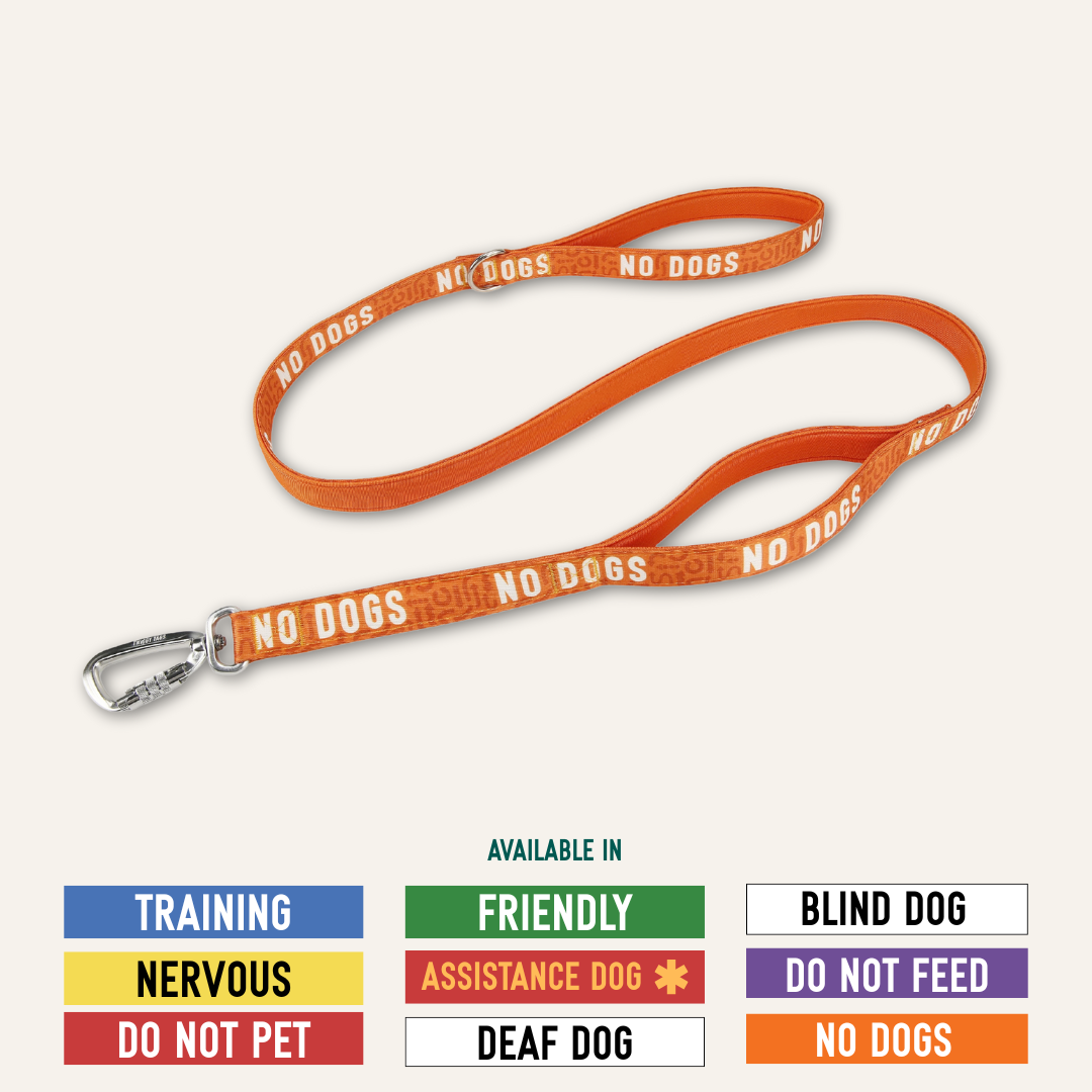 Twiggy Tags Awareness Close Control Dog Lead - Nervous