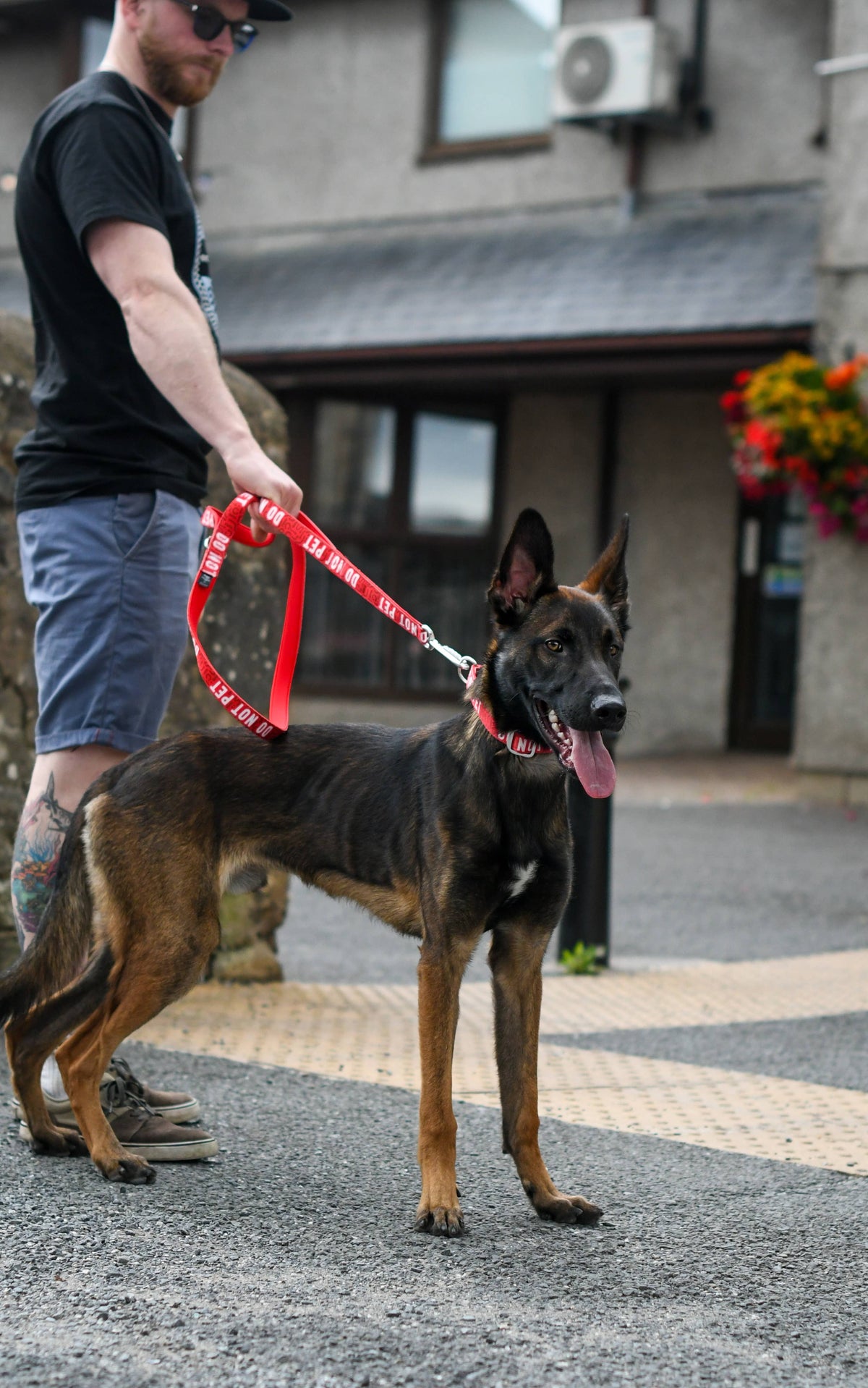 Twiggy Tags Awareness Close Control Dog Lead - Nervous