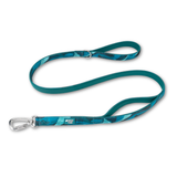 Twiggy Tags Close Control Dog Lead