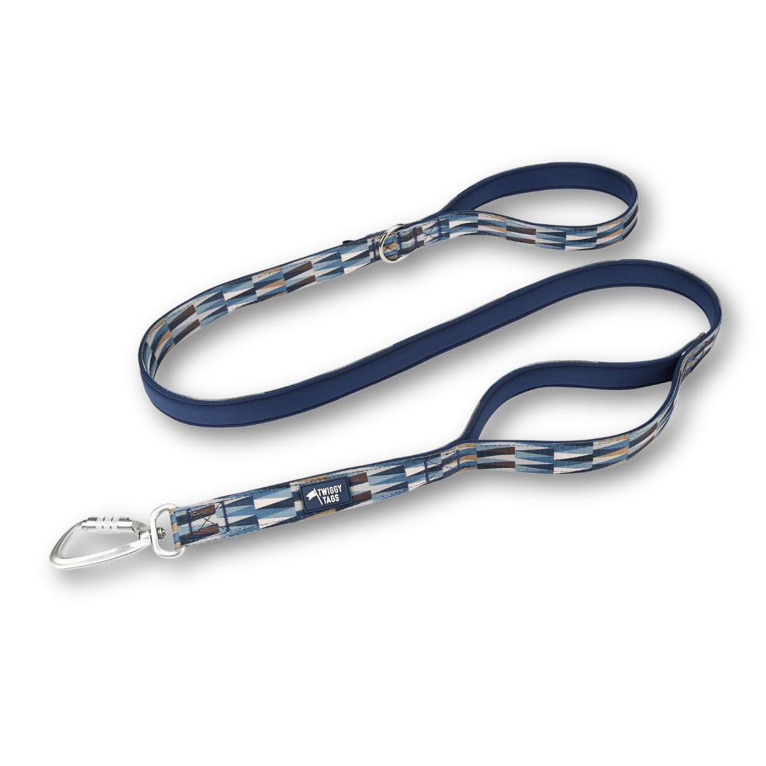 Twiggy Tags Close Control Dog Lead