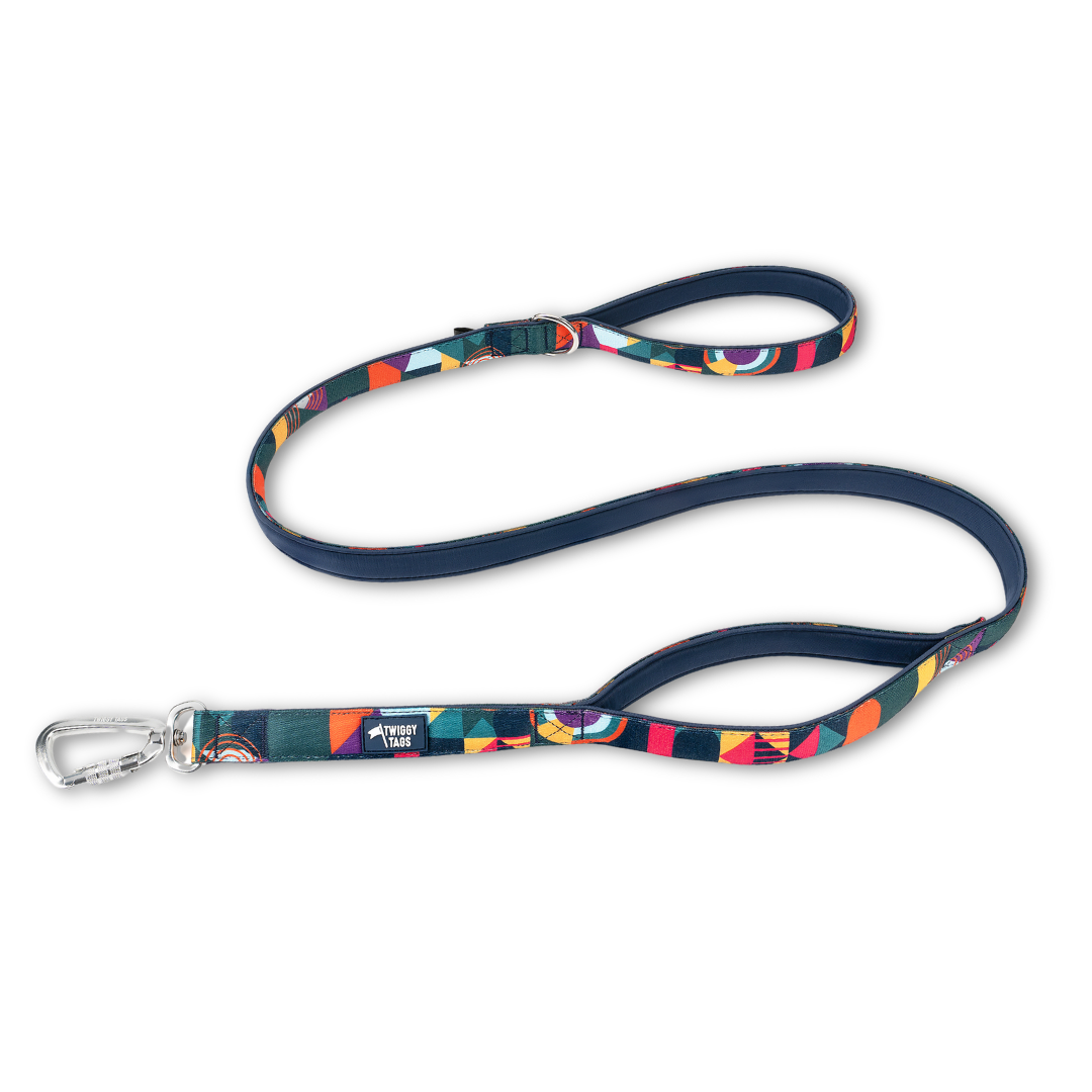 Colorful dog leash with a pattern on a white background