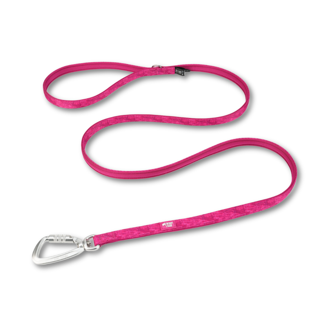 Twiggy Tags Lite Dog Lead