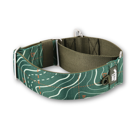 A dog collar with a green topographic map pattern on the front panel, olive green webbing strap, and silver metal hardware, shown on a white background.