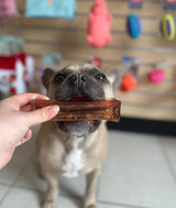 Dog looking at a treat held by a hand