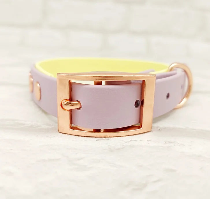 Trinkety Paws Waterproof Dog Collar Lemon/Lilac