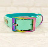 Trinkety Paws Waterproof Dog Collar Teal/Seafoam