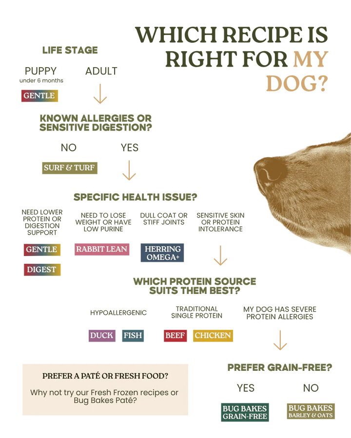 Wildpet Fish 80:20 Cold-Pressed Dog Food