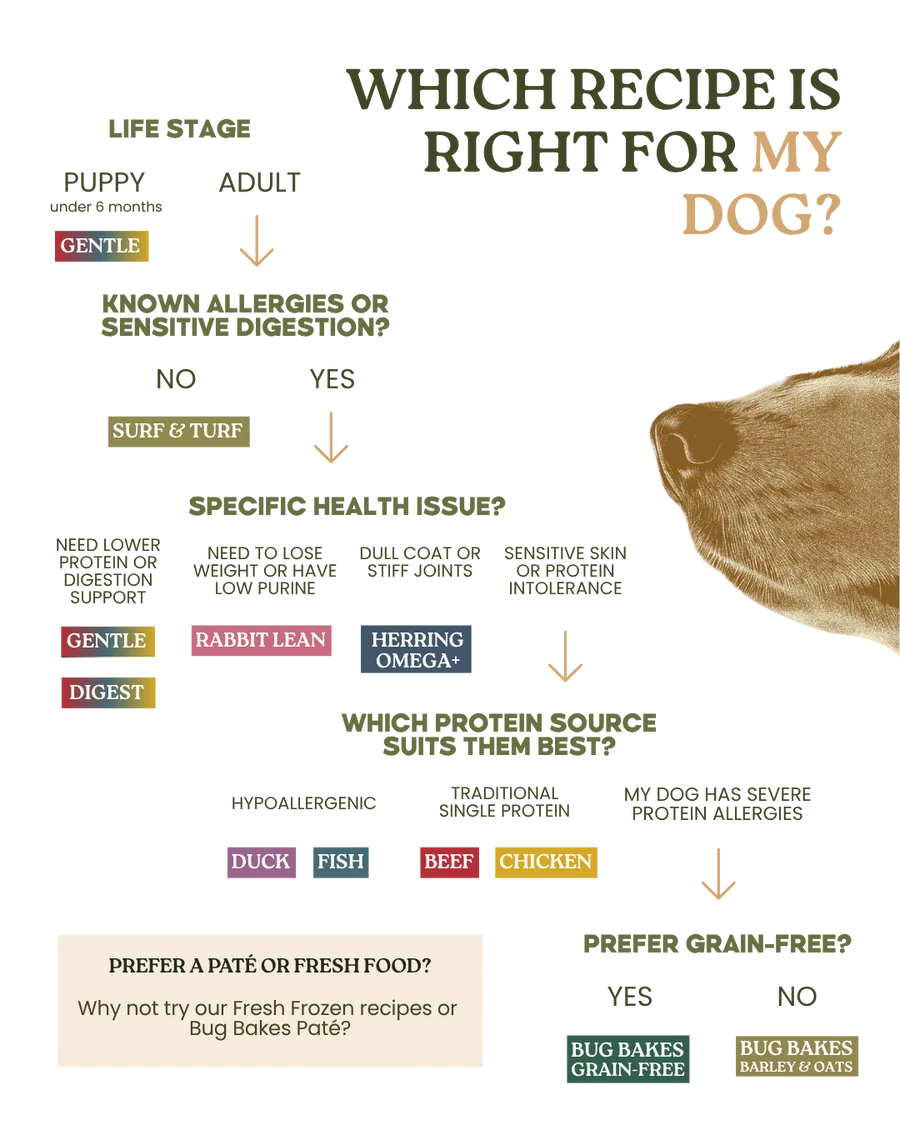 Wildpet Chicken Digest 80:20 Cold Pressed Dog Food