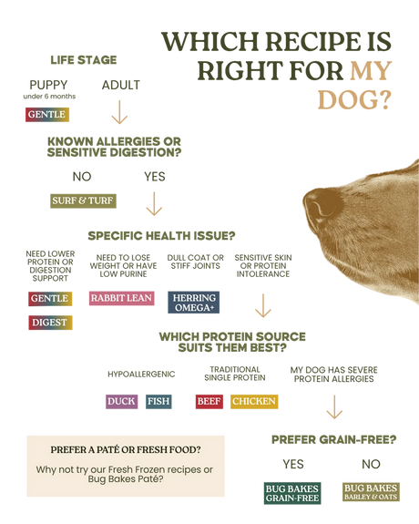 Wildpet Chicken Digest 80:20 Cold Pressed Dog Food
