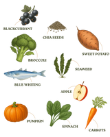 Wildpet Fish 80:20 Cold-Pressed Dog Food