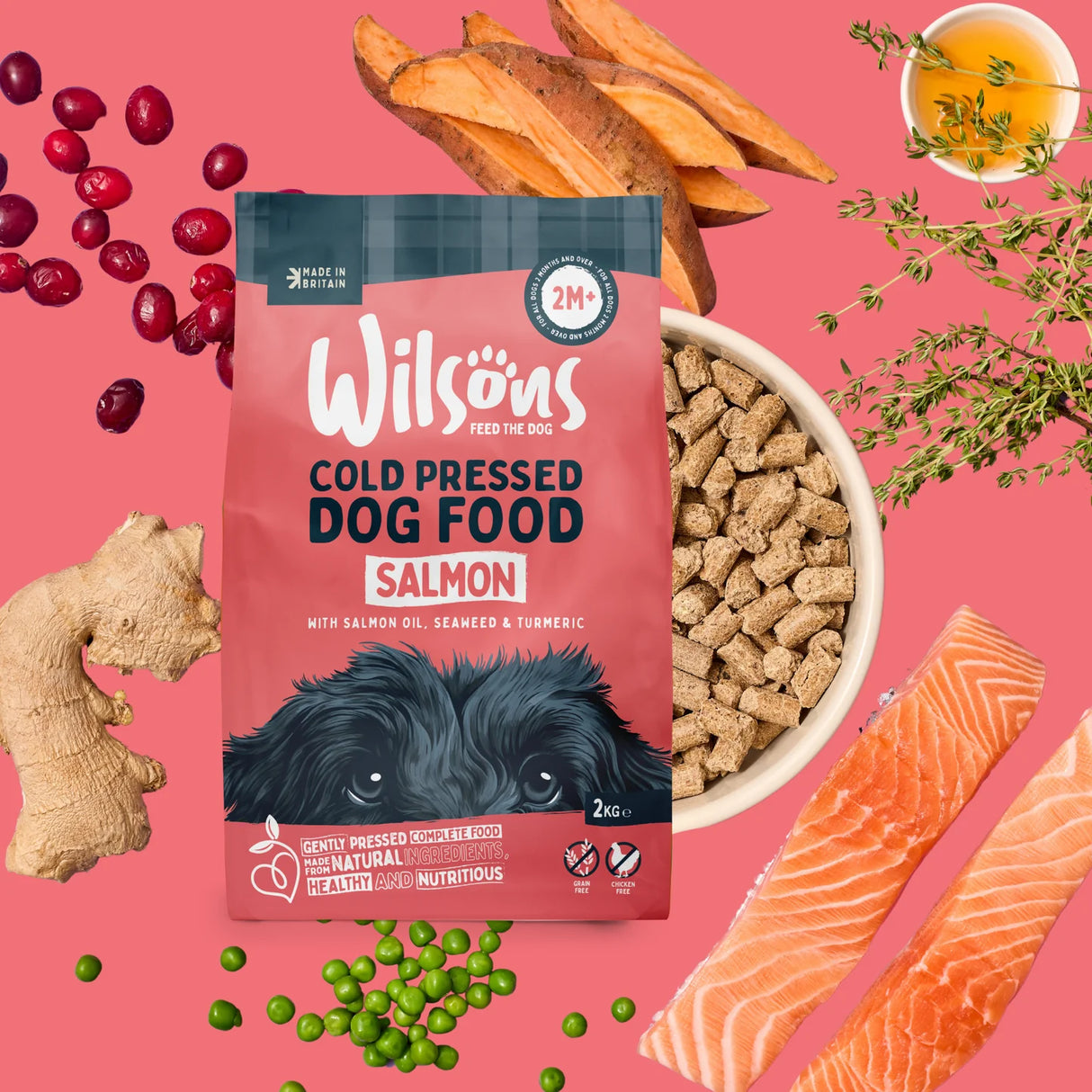 Wilsons Puppy Premium British Cold Pressed Dog Food