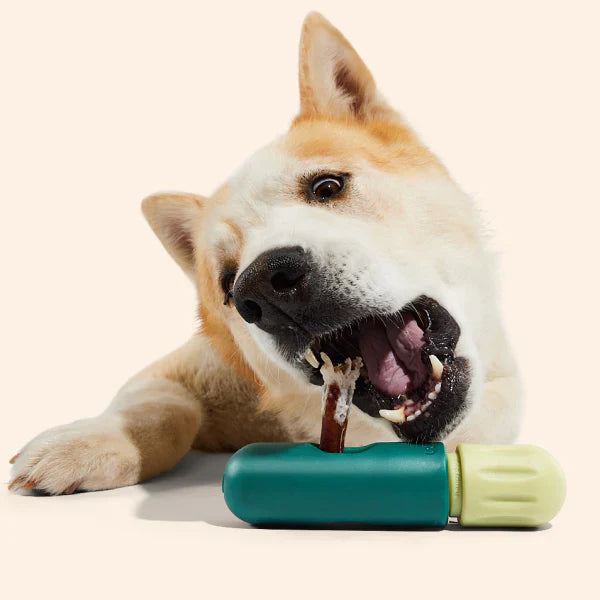 Woof BullySafe Bully Stick & Pizzle Chew Holder