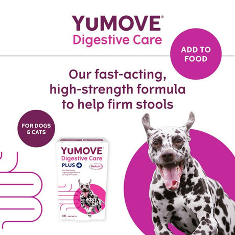 Yumove Digestive Care Plus 6 sachet