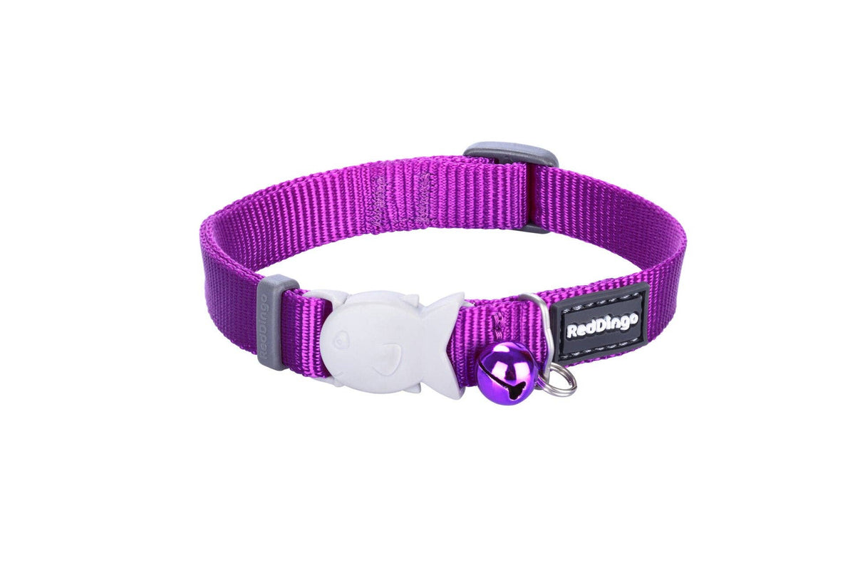 Red Dingo Kitten Collar Classic Purple