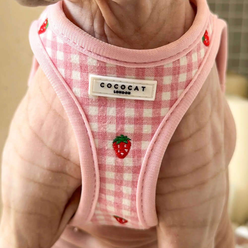 Cocopup Cat Harness - Strawberry Picnic