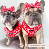 Cocopup Red & Pink Leopard Bow Tie